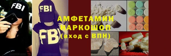 гашик Новозыбков