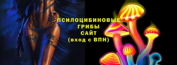 гашик Новозыбков
