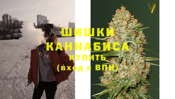 гашик Новозыбков