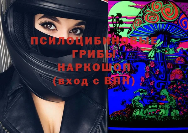 дурь Новодвинск