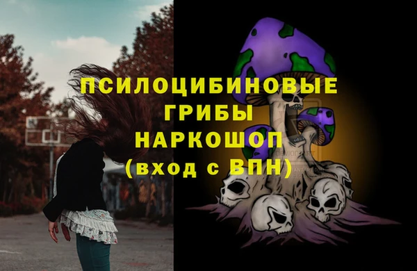 ALPHA PVP Алексин
