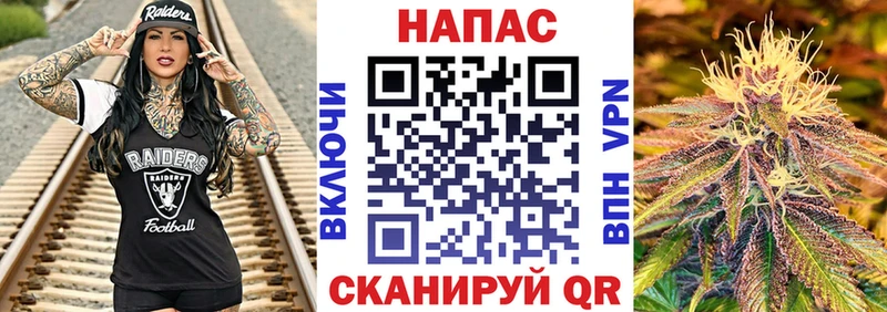 МАРИХУАНА гибрид  купить   Сенгилей 